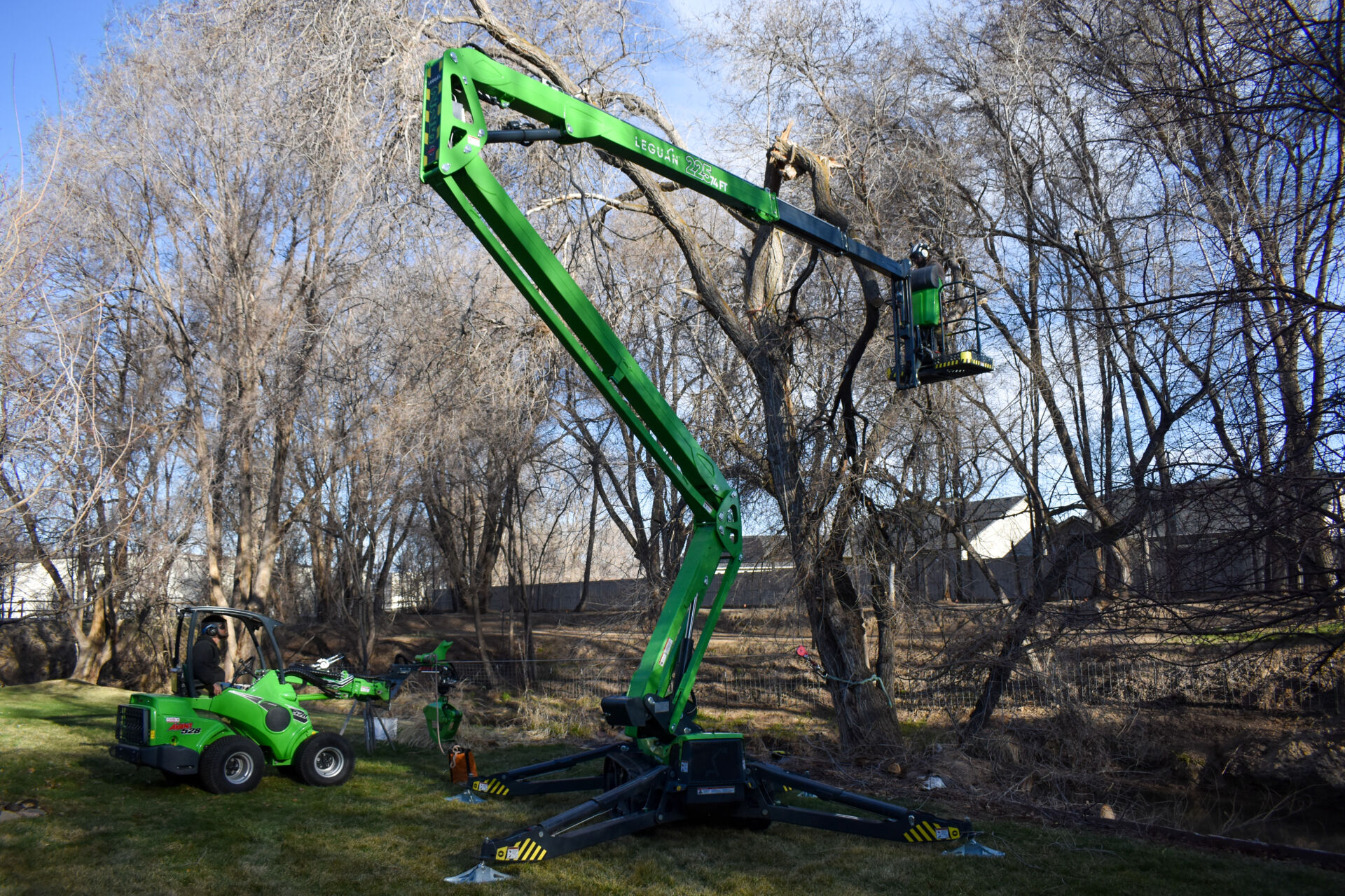 The Ultimate tool for Arborists: Leguan 225