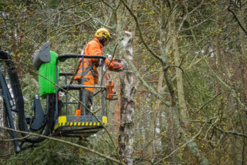 Premium all-terrain capabilities and sturdy booms make Leguan a perfect choice for arborists.