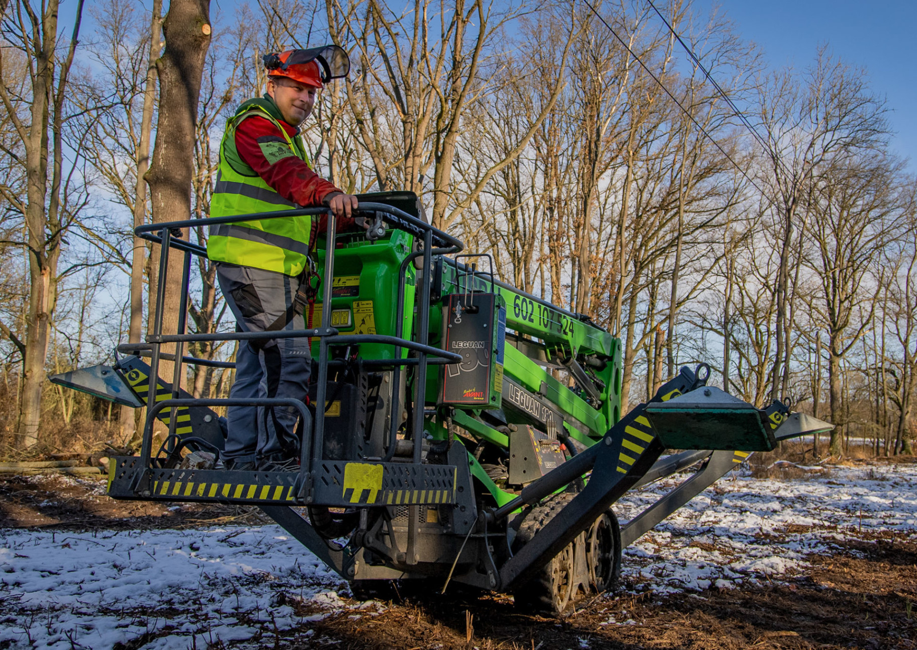 Tree care | Leguan Lifts